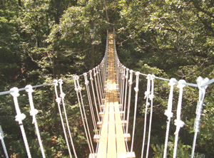 08-18-10-zip-bridge.gif